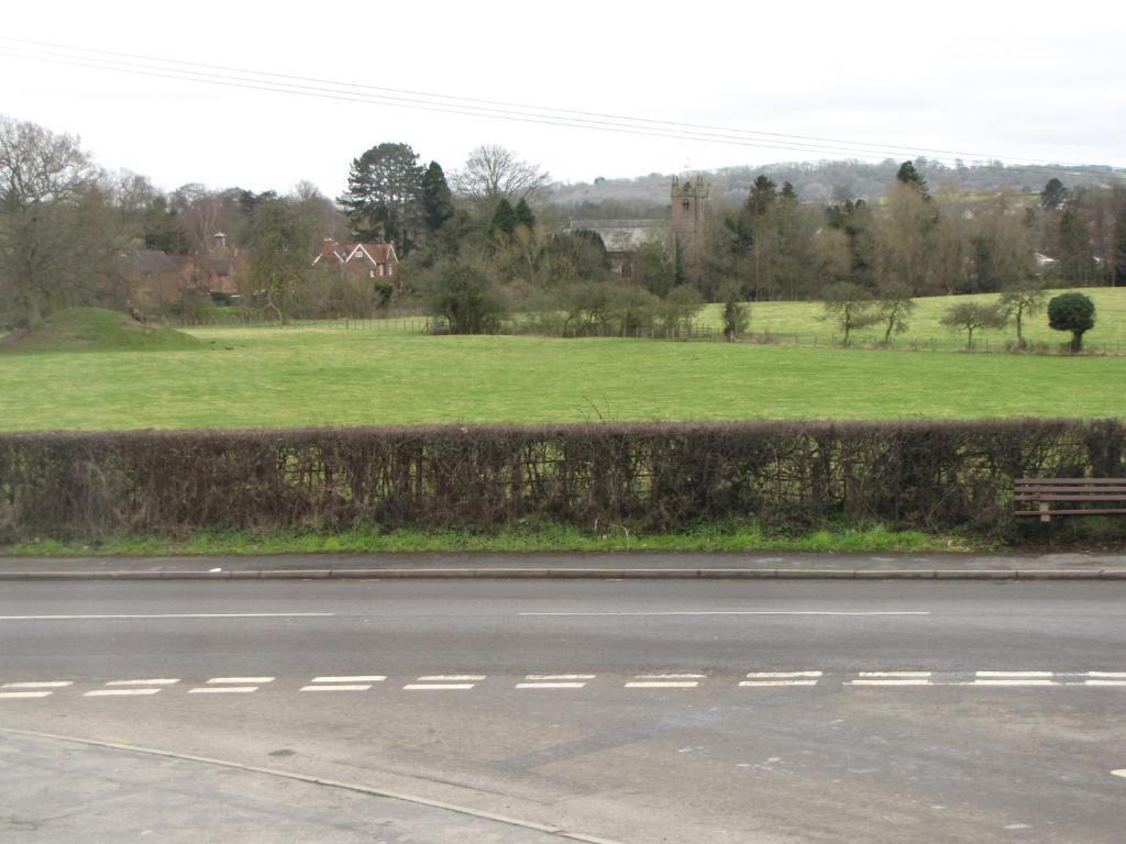 Rose & Crown Tenbury Quarto foto